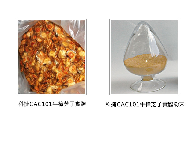 科捷生物科技-牛樟芝原料合作