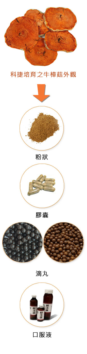 牛樟芝產品設計與代工